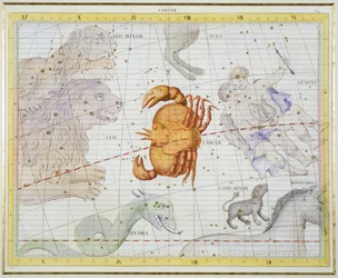 Konstellation des Krebses, Tafel 4 aus 